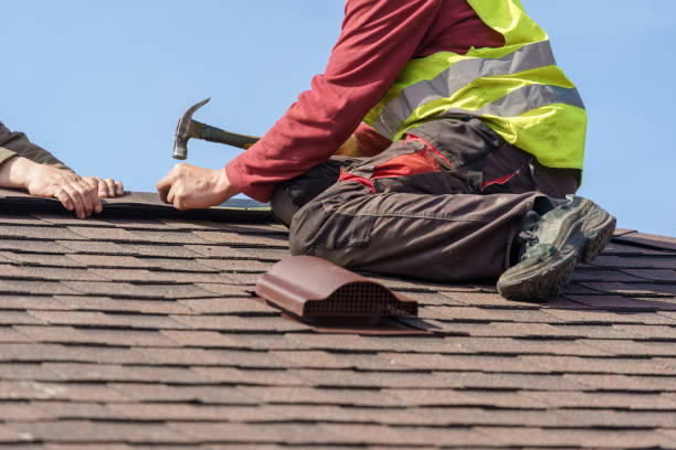 Best Roof Gutter Cleaning  in Springville, AL
